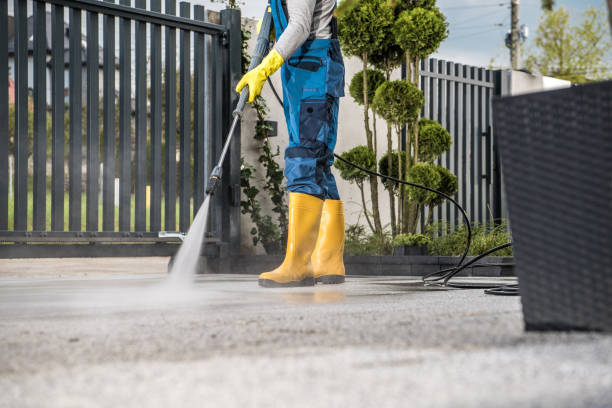 Best Patio and Deck Pressure Washing  in Matta, WA